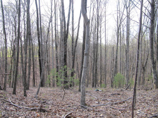 0 Level Bottom Road Northeast Check, VA 24072 - Photo 5 of 15 a view of a backyard