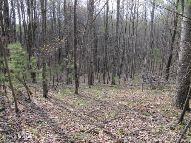 0 Level Bottom Road Northeast Check, VA 24072 - Photo 6 of 15 a view of outdoor space with trees