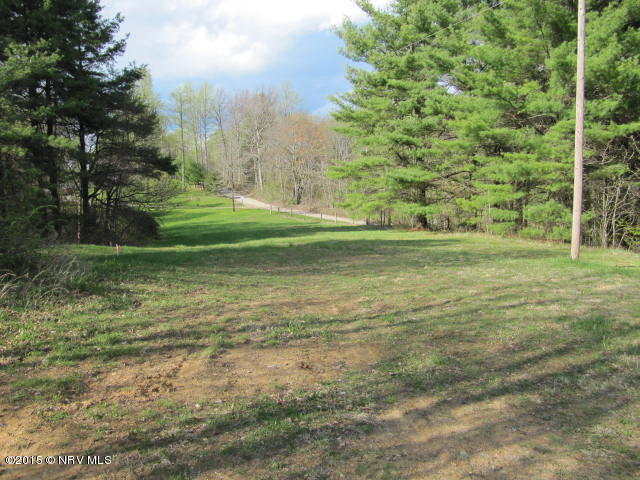 0 Level Bottom Road Northeast Check, VA 24072 - Photo 8 of 15 a view of a field with an trees