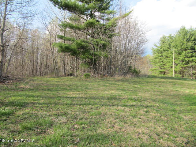 0 Level Bottom Road Northeast Check, VA 24072 - Photo 9 of 15 a backyard of a house with lots of green space