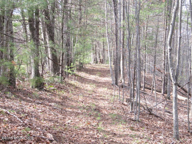 0 Level Bottom Road Northeast Check, VA 24072 - Photo 10 of 15 a view of a yard with large trees