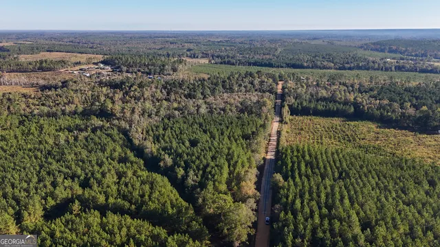 a view of a lush green outdoor space with a lake view