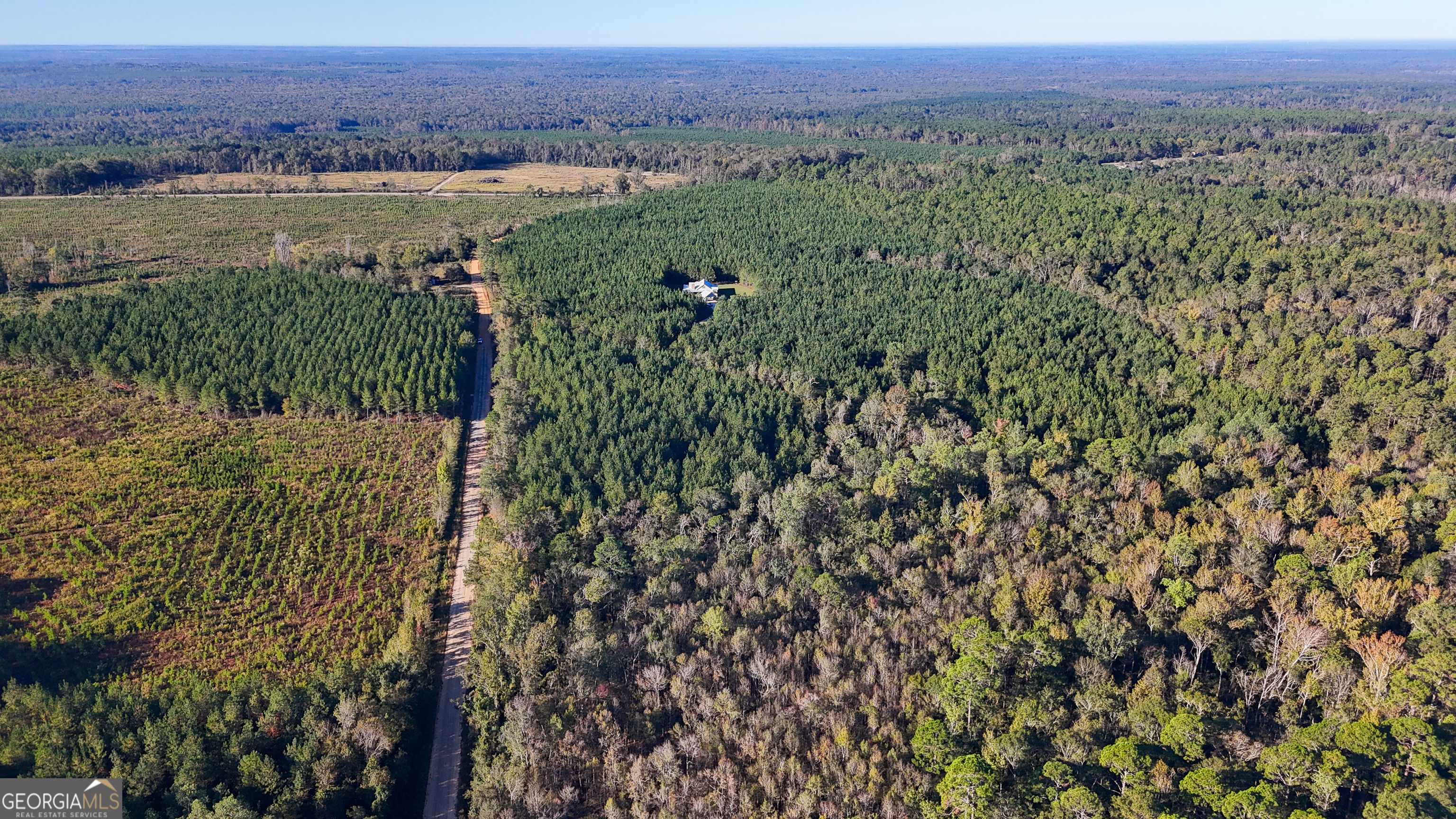 0 Raymond Wilkes Road Rockledge, GA 30454 - Photo 3 of 9 a view of a lush green field with mountains in the background