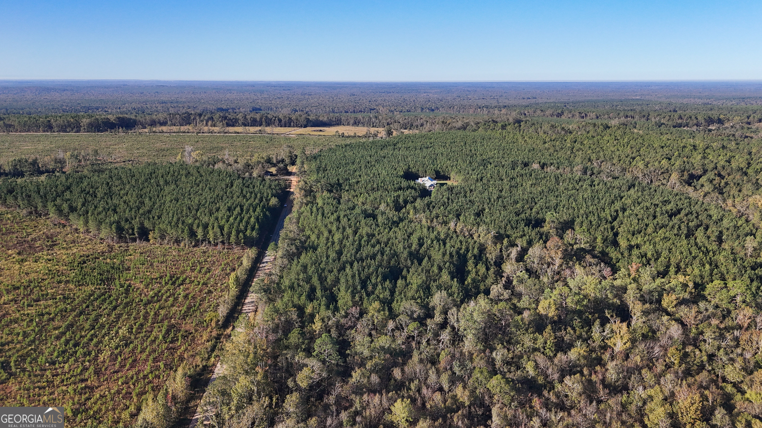 0 Raymond Wilkes Road Rockledge, GA 30454 - Photo 4 of 9 a view of a lush green outdoor space with a lake view