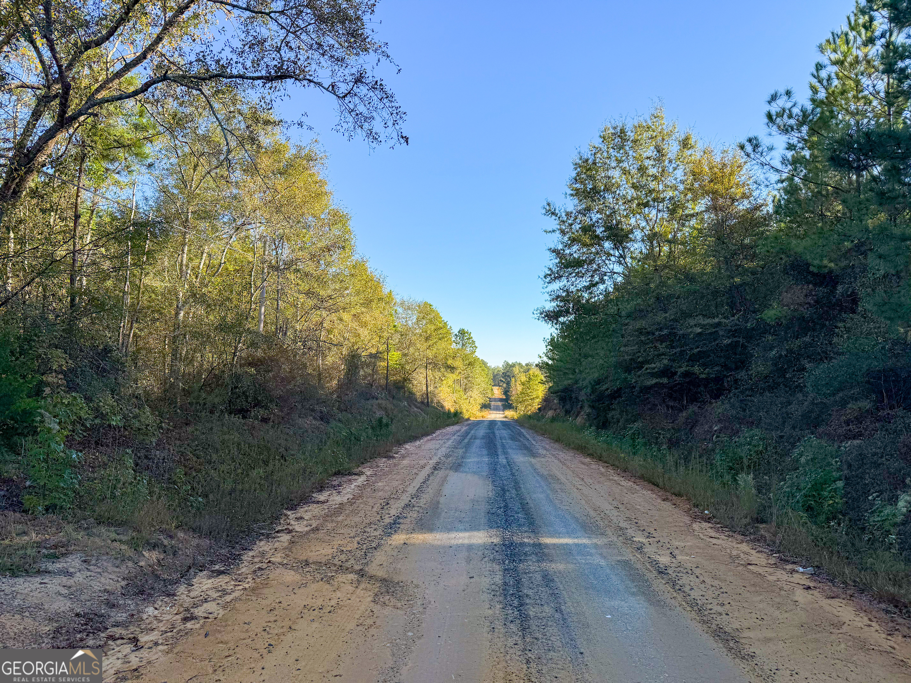 0 Raymond Wilkes Road Rockledge, GA 30454 - Photo 6 of 9 a view of backyard with green space