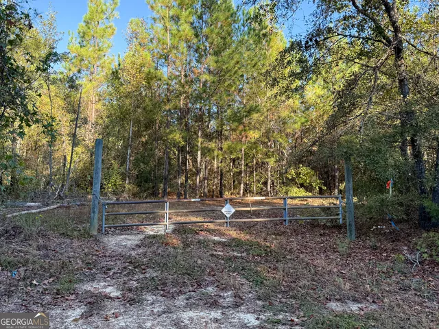 a view of a tree with a yard