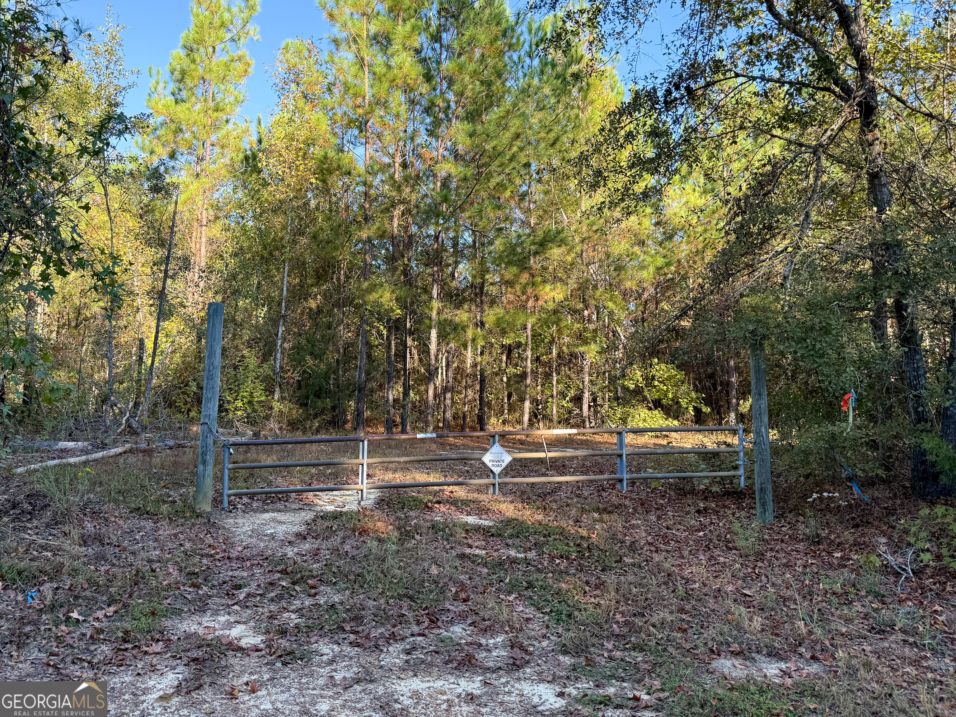 0 Raymond Wilkes Road Rockledge, GA 30454 - Photo 7 of 9 a backyard of a house with lots of green space