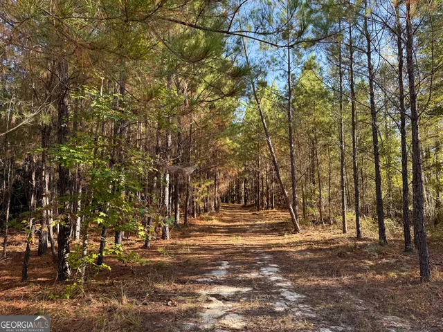 $92,008 | 0 Raymond Wilkes Road, Rockledge, GA 30454