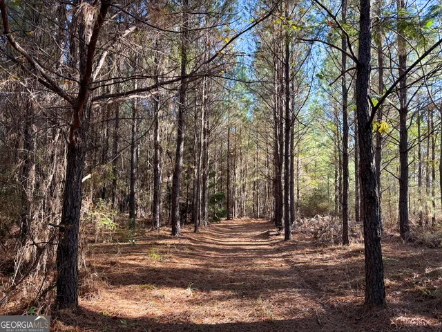 $92,008 | 0 Raymond Wilkes Road, Rockledge, GA 30454