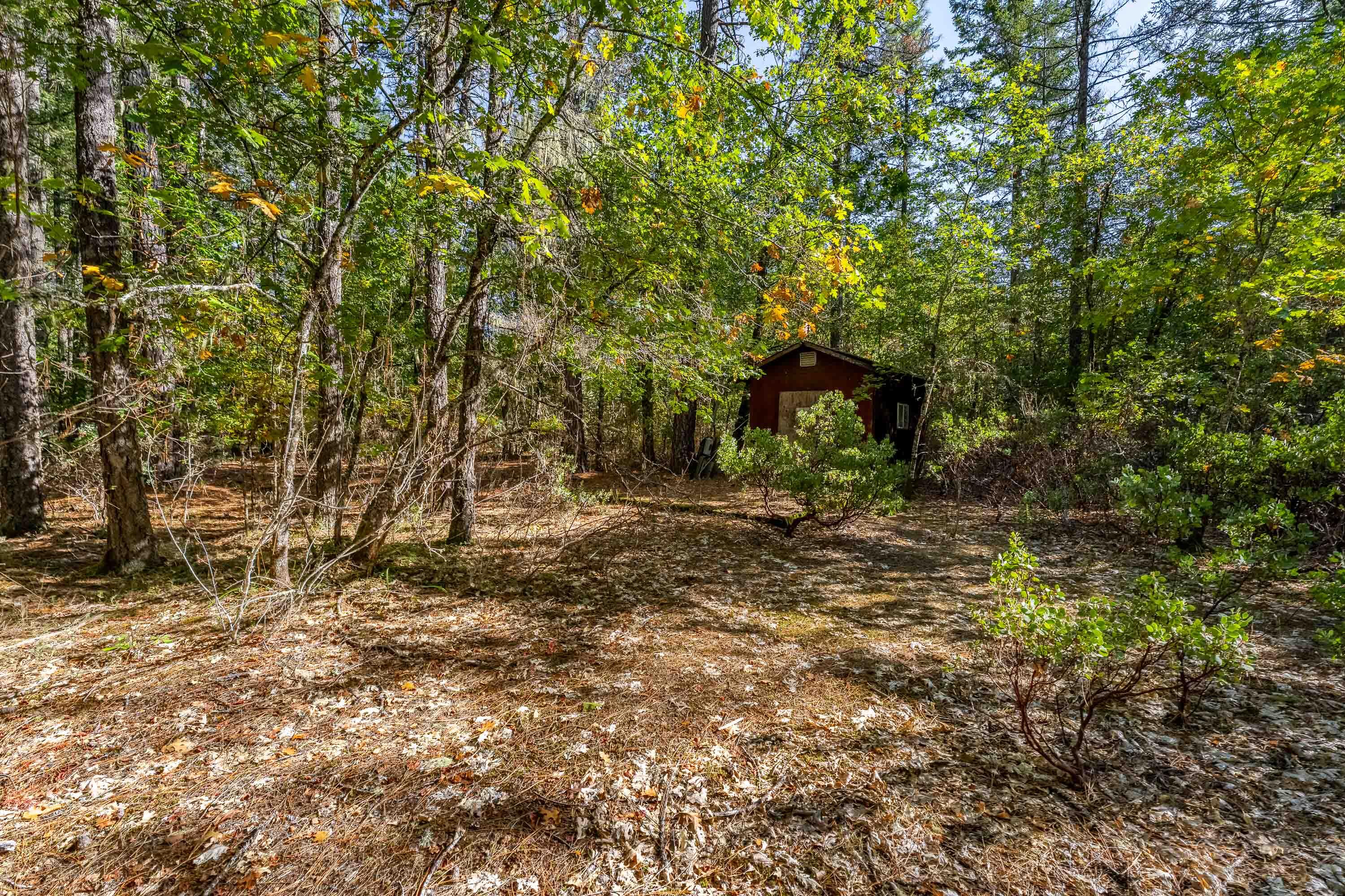 305 Floyd Lane Cave Junction, OR 97523 - Photo 2 of 10 EXT (5 of 6)