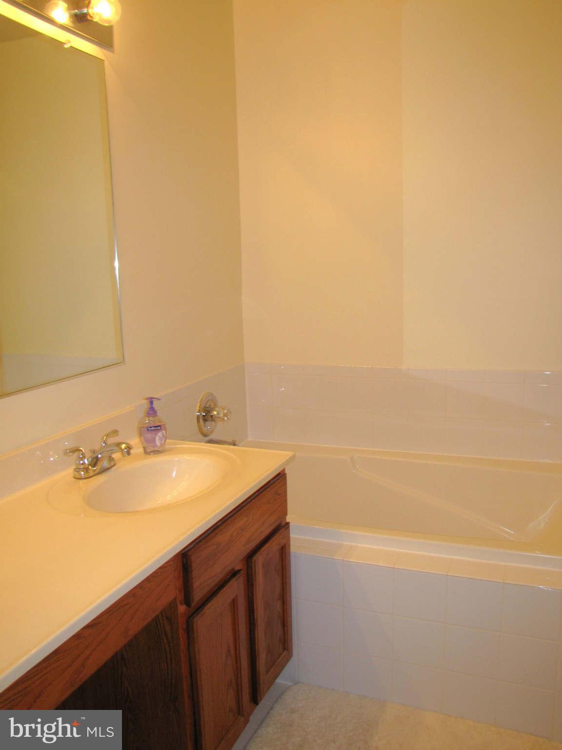 6346 Wind Rider Way Columbia, MD 21045 - Photo 17 of 24 Bath (Master)