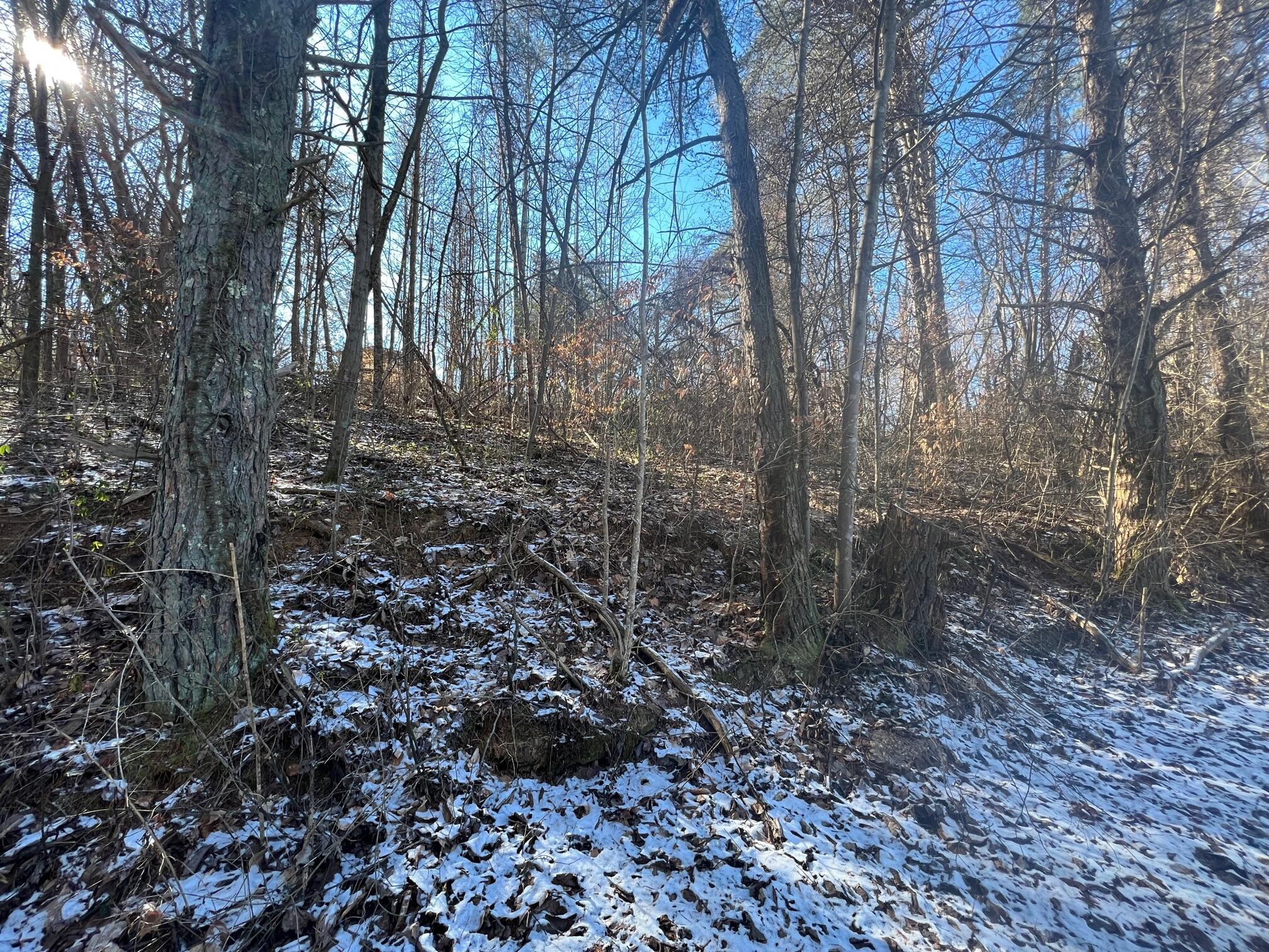 3233 Bates Road Nancy, KY 42544 - Photo 2 of 6 IMG_3562