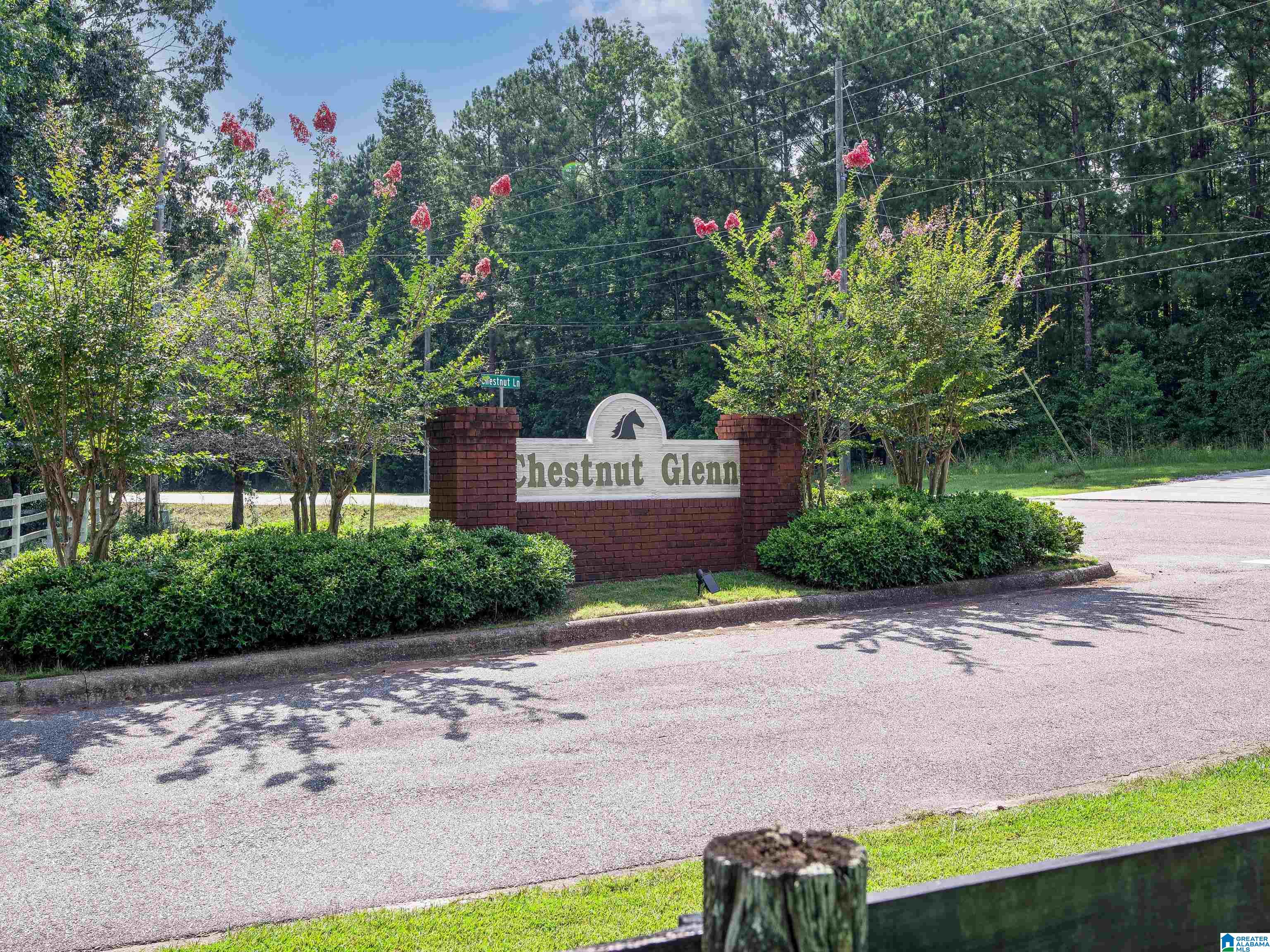 104 Chestnut Lane Helena, AL 35080 - Photo 37 of 37