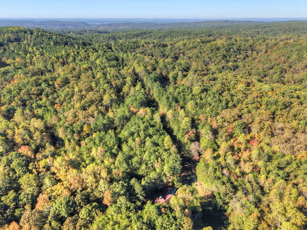 523 Long Branch Road Ranger, GA 30734 - Photo 4 of 56