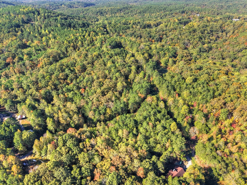 523 Long Branch Road Ranger, GA 30734 - Photo 54 of 56