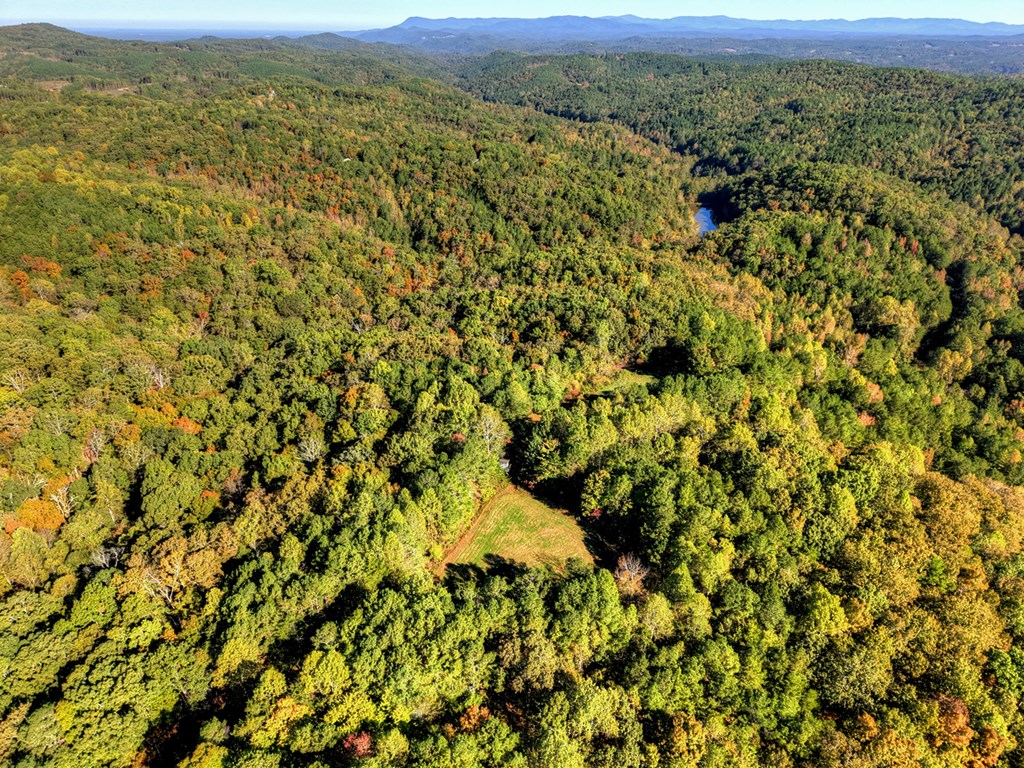 523 Long Branch Road Ranger, GA 30734 - Photo 7 of 56 a view of a field with a mountain in the background