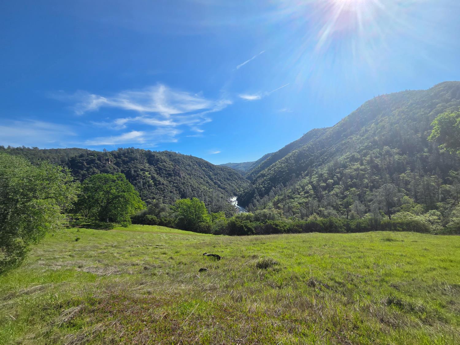 19077 Sanctuary Road Penn Valley, CA 95946 - Photo 60 of 78