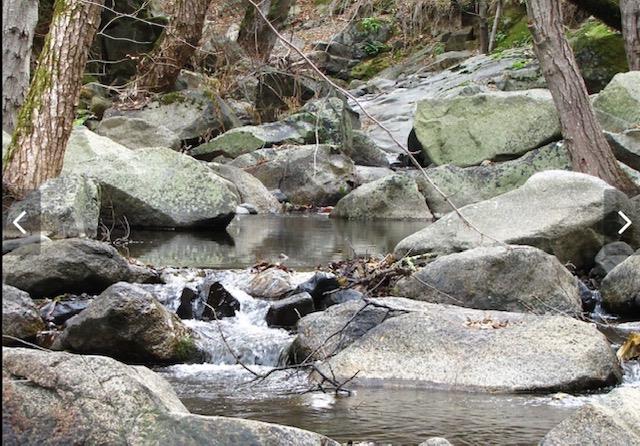 19077 Sanctuary Road Penn Valley, CA 95946 - Photo 65 of 78