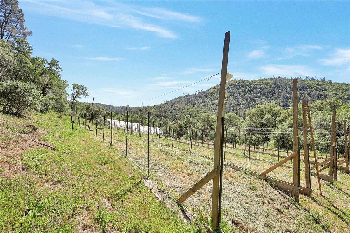 19077 Sanctuary Road Penn Valley, CA 95946 - Photo 69 of 78