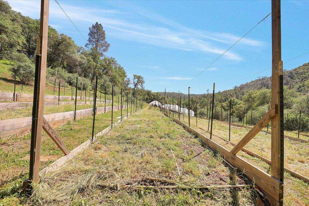 19077 Sanctuary Road Penn Valley, CA 95946 - Photo 73 of 83