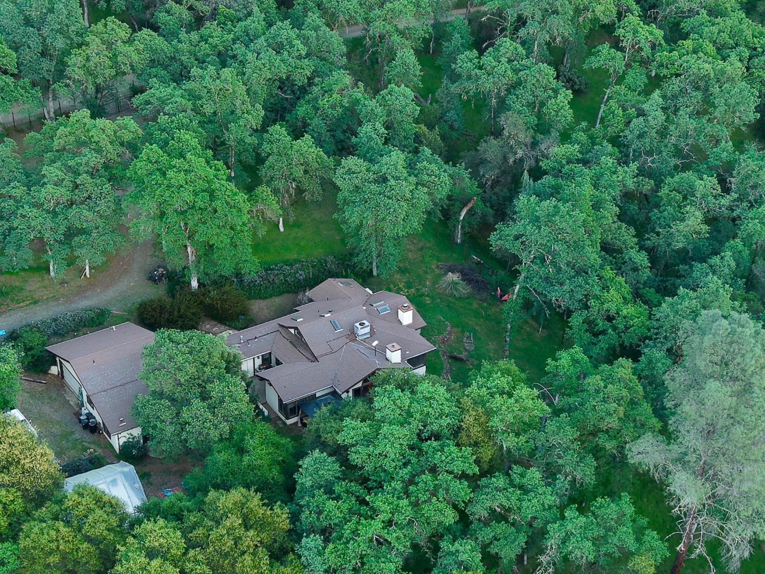 19077 Sanctuary Road Penn Valley, CA 95946 - Photo 74 of 83
