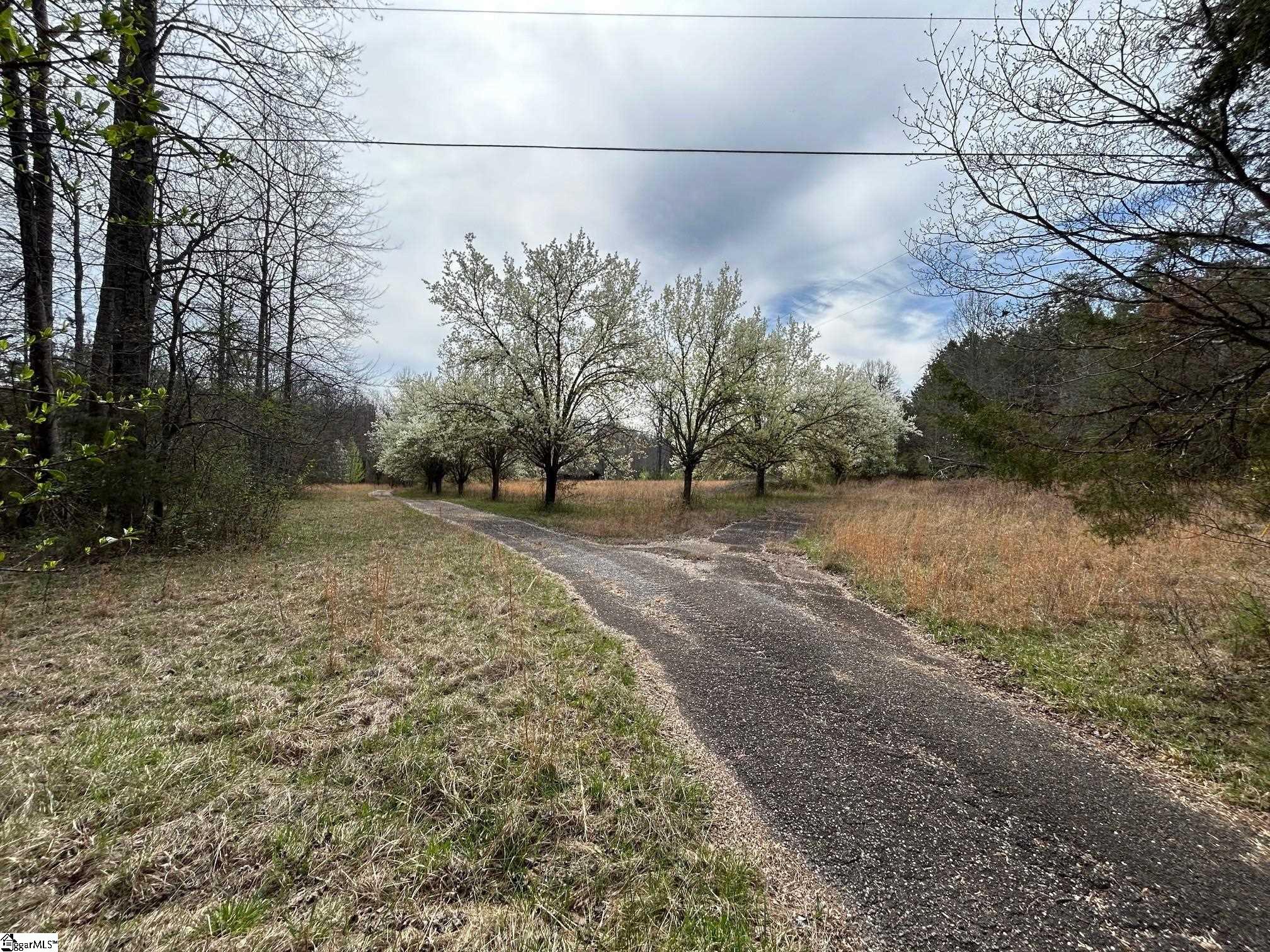 2144 Fox Squirrel Ridge Road Pickens, SC 29671 - Photo 4 of 12