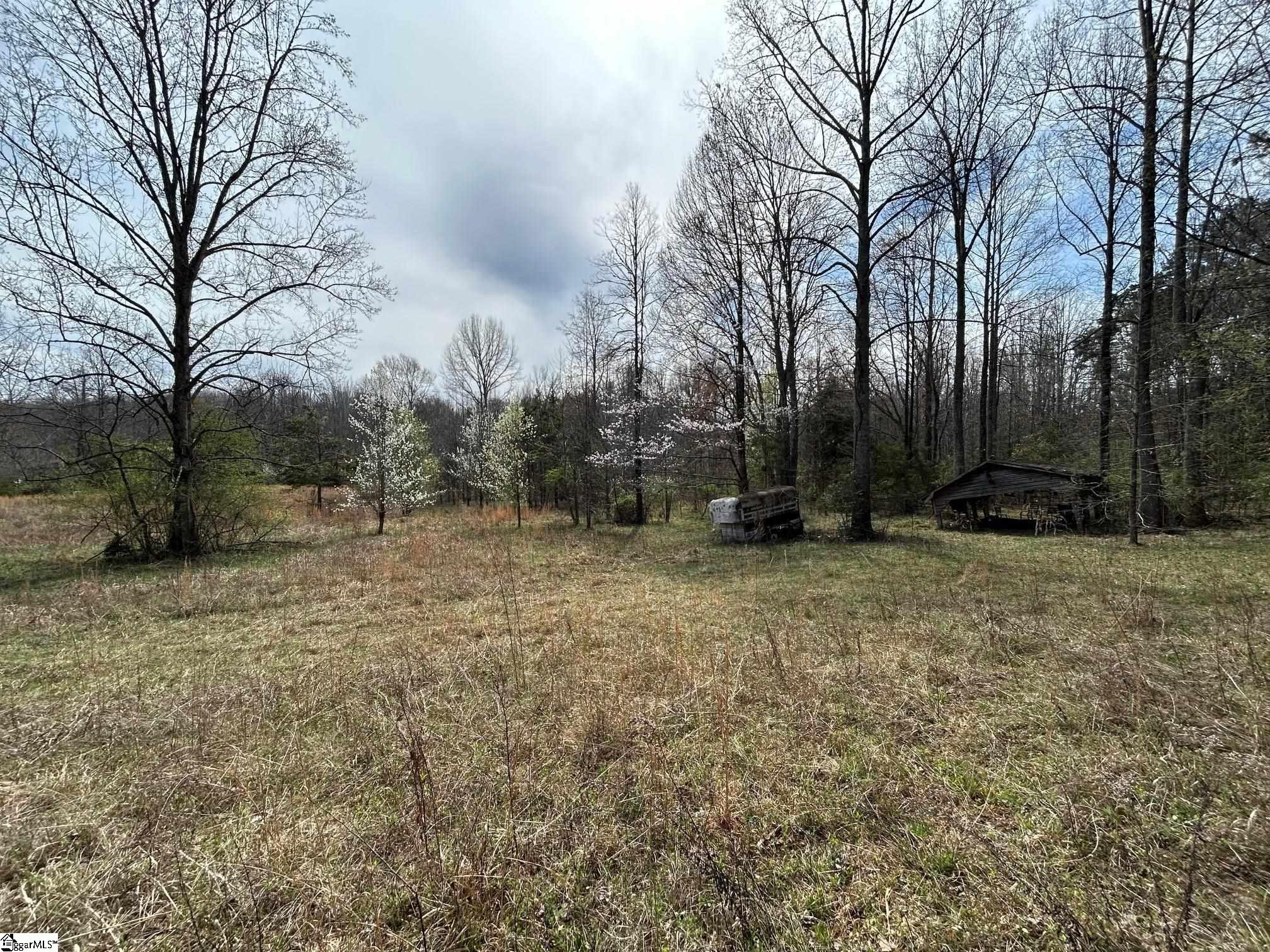 2144 Fox Squirrel Ridge Road Pickens, SC 29671 - Photo 9 of 12