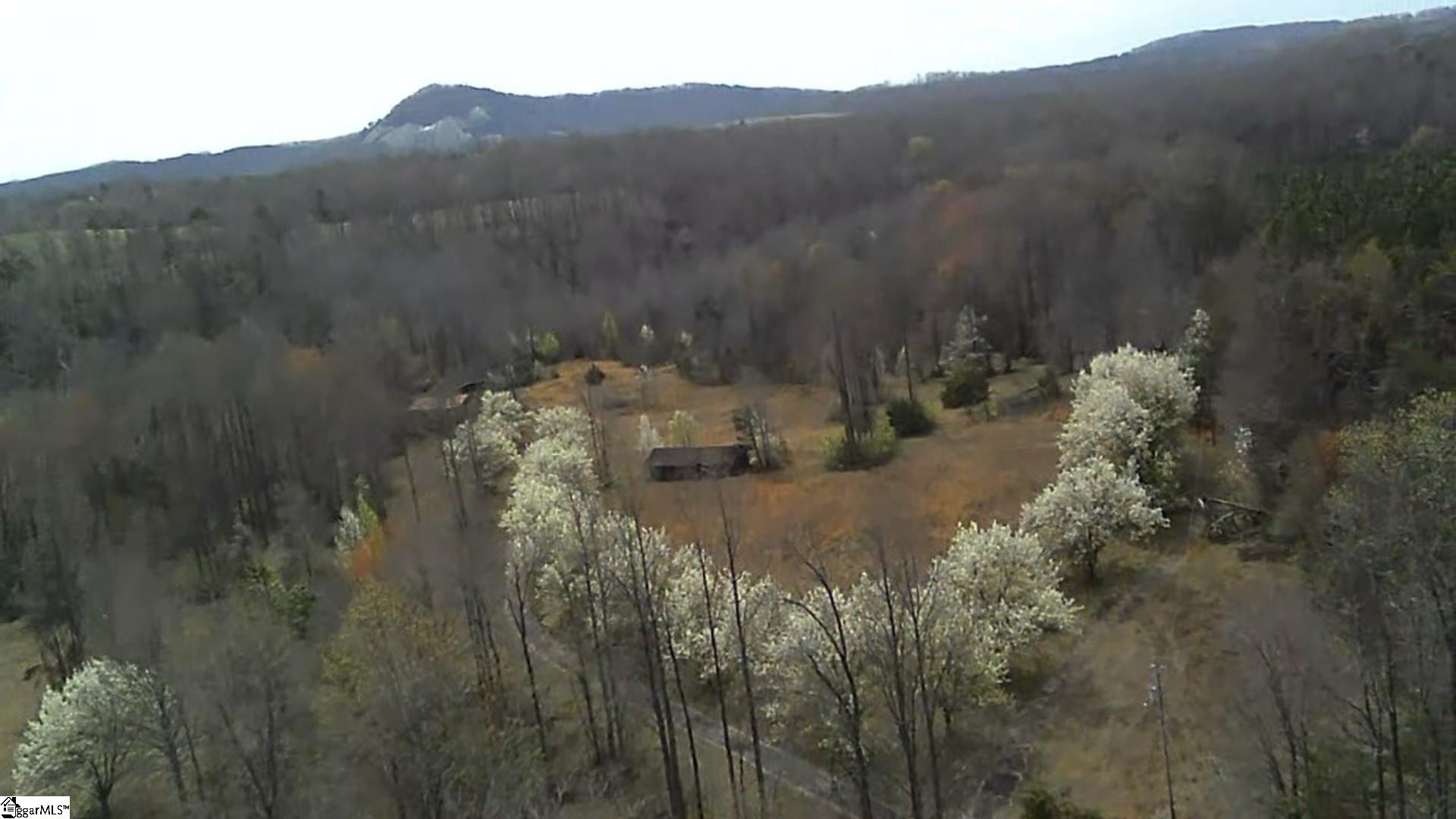2144 Fox Squirrel Ridge Road Pickens, SC 29671 - Photo 10 of 12