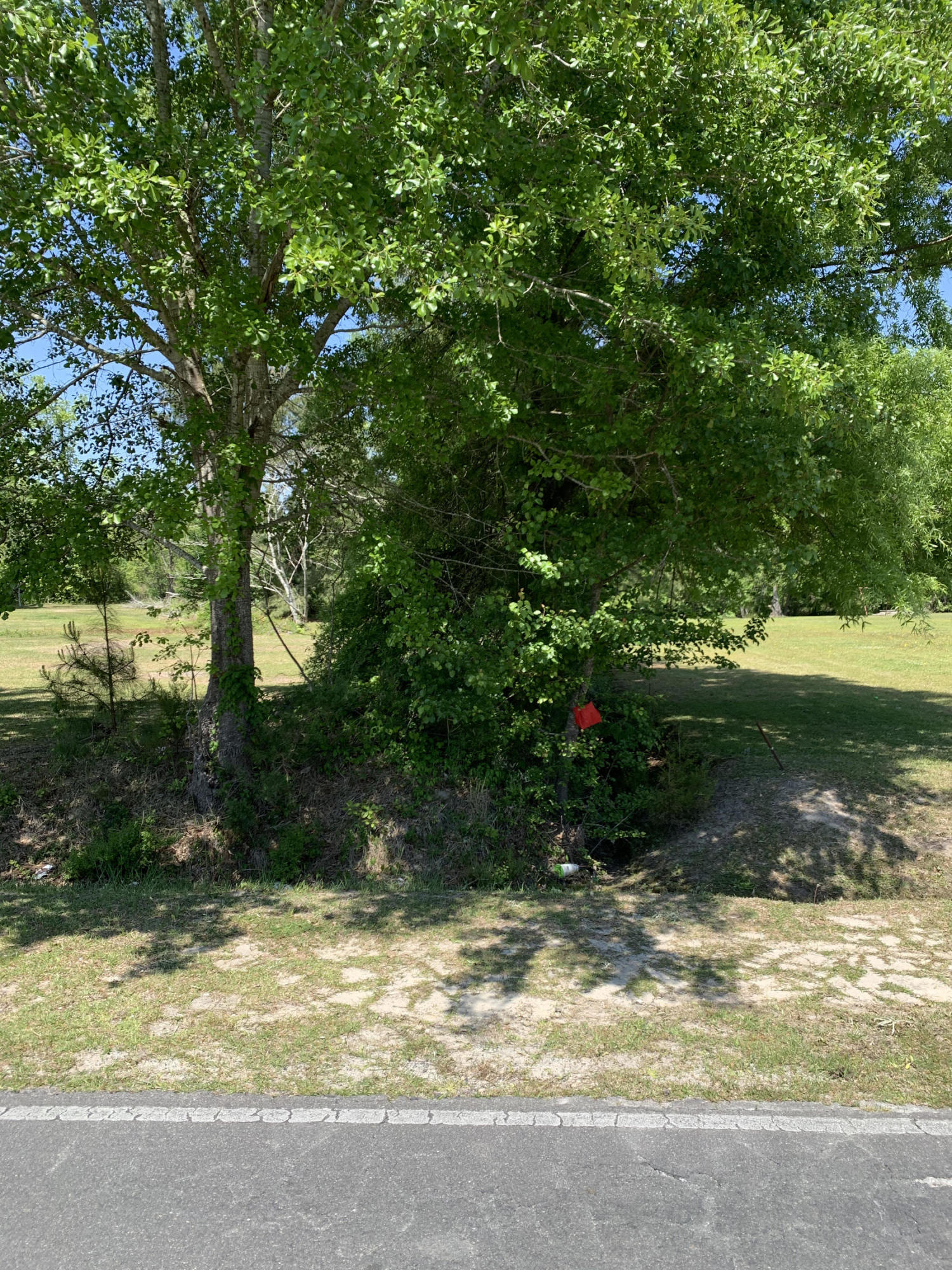0 Briarneck Road Jacksonville, NC 28540 - Photo 6 of 7 IMG_1728