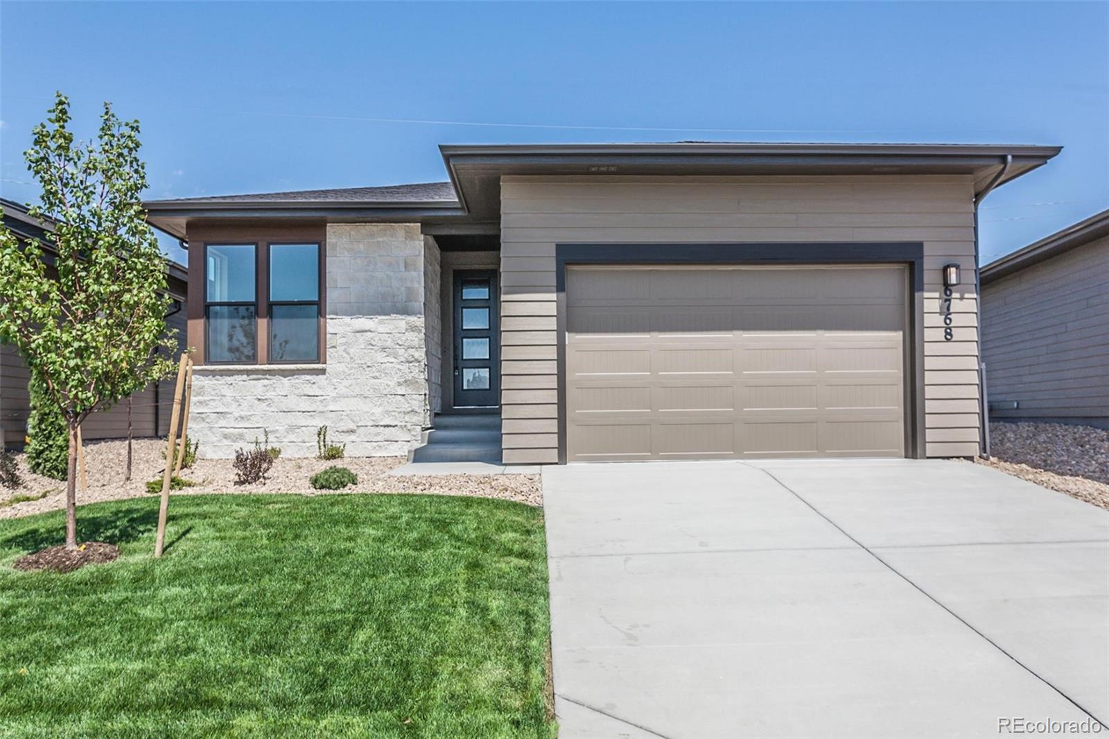6768 Castello Street Timnath, CO 80547 - Photo 21 of 38