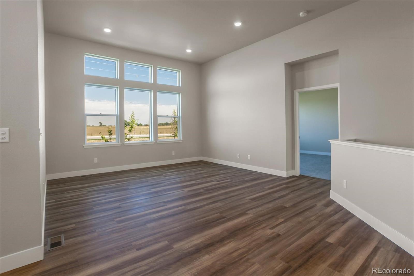 6768 Castello Street Timnath, CO 80547 - Photo 28 of 38 an empty room with wooden floor and windows