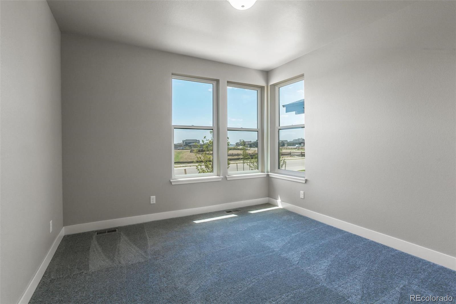 6768 Castello Street Timnath, CO 80547 - Photo 34 of 38 an empty room with windows