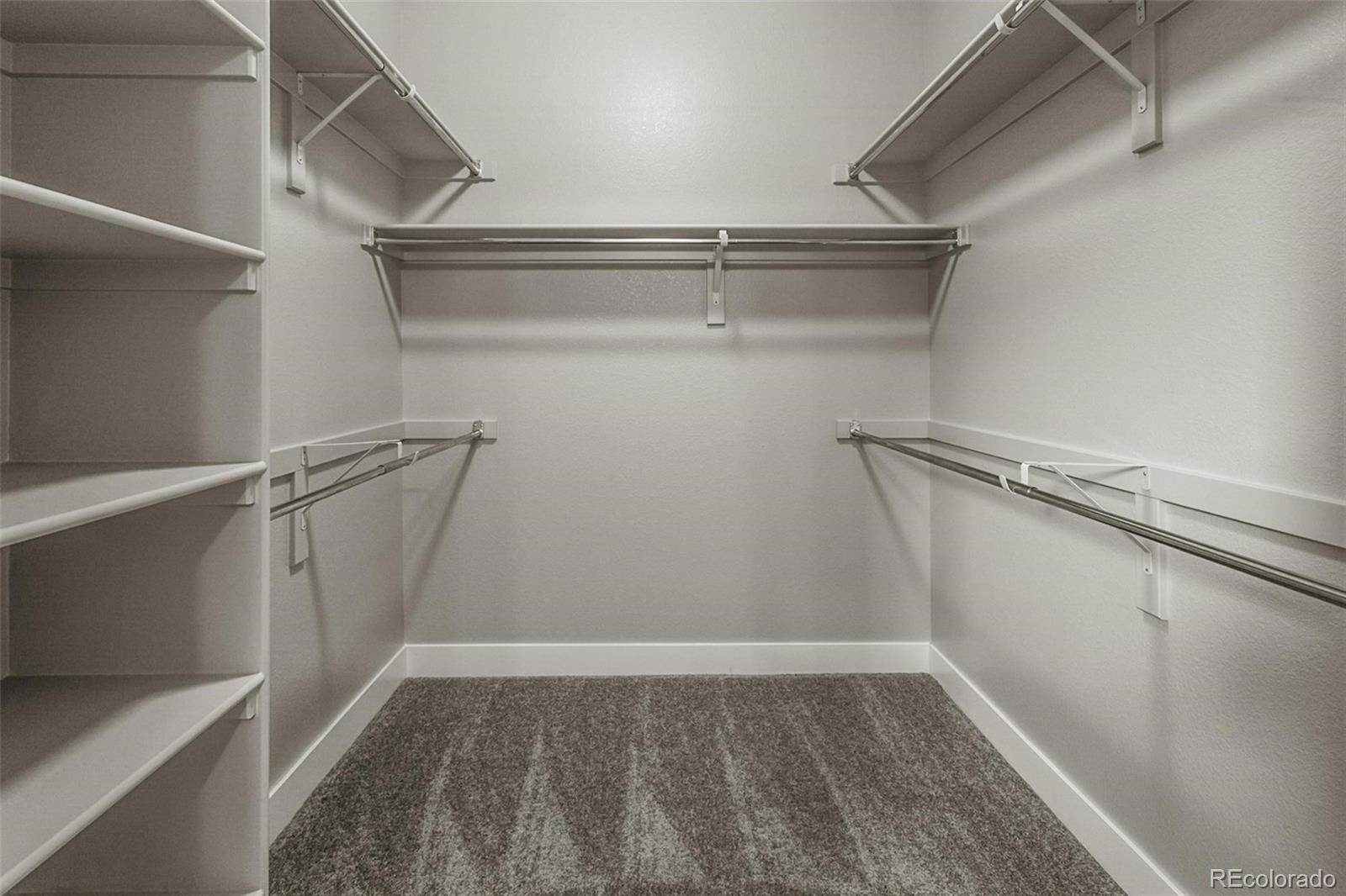 6768 Castello Street Timnath, CO 80547 - Photo 8 of 38 a view of walk in closet
