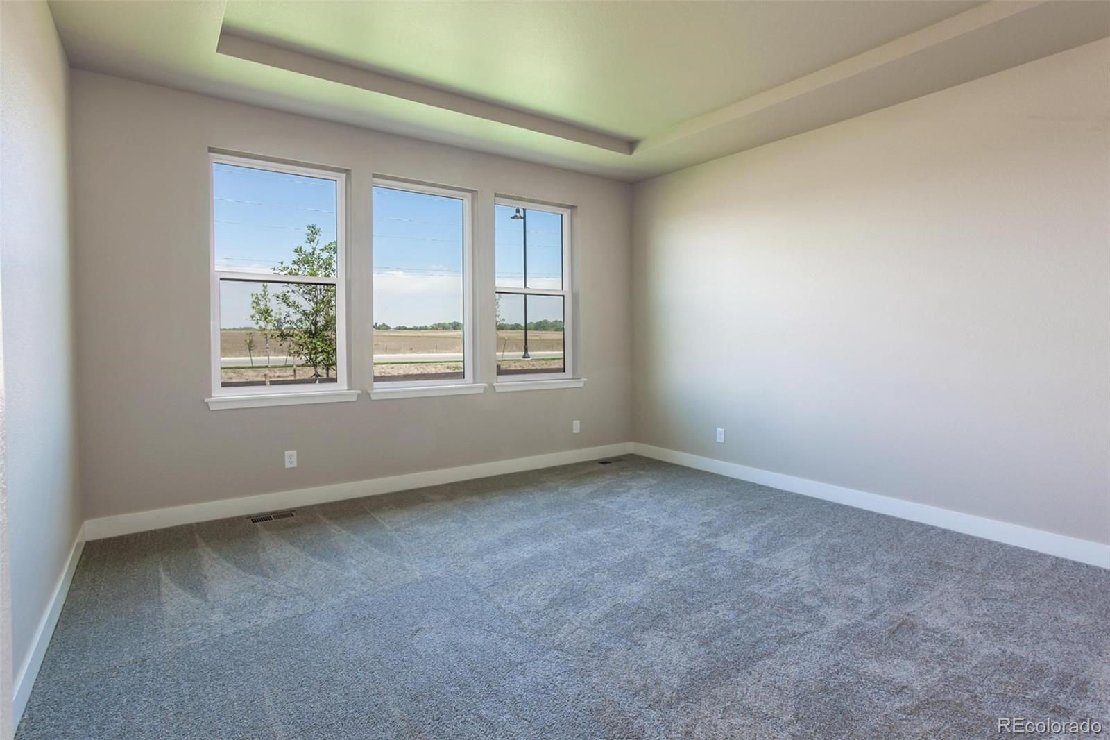 6768 Castello Street Timnath, CO 80547 - Photo 10 of 38 an empty room with windows