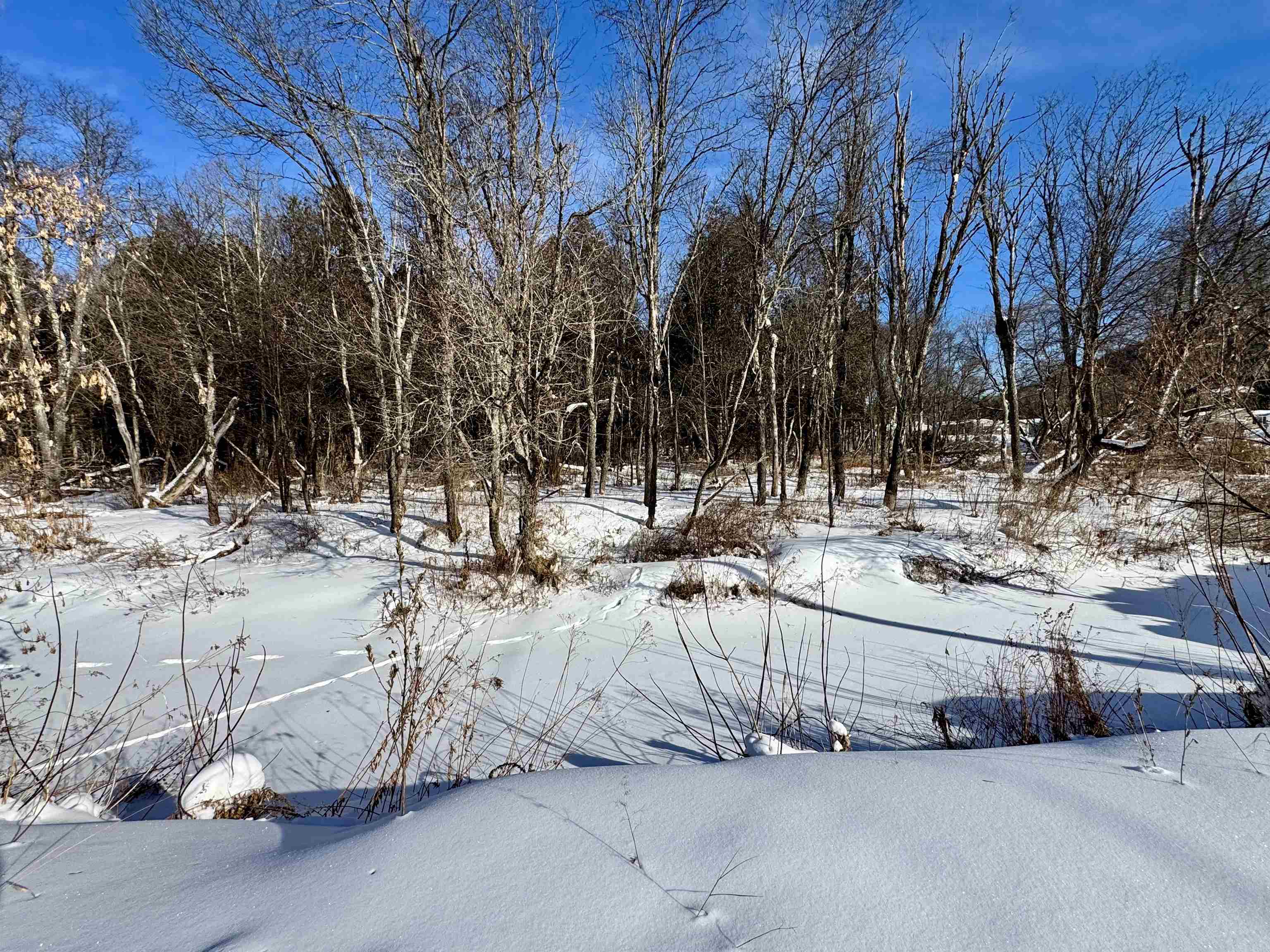 9 Birch Street Colebrook, NH 03576 - Photo 5 of 17