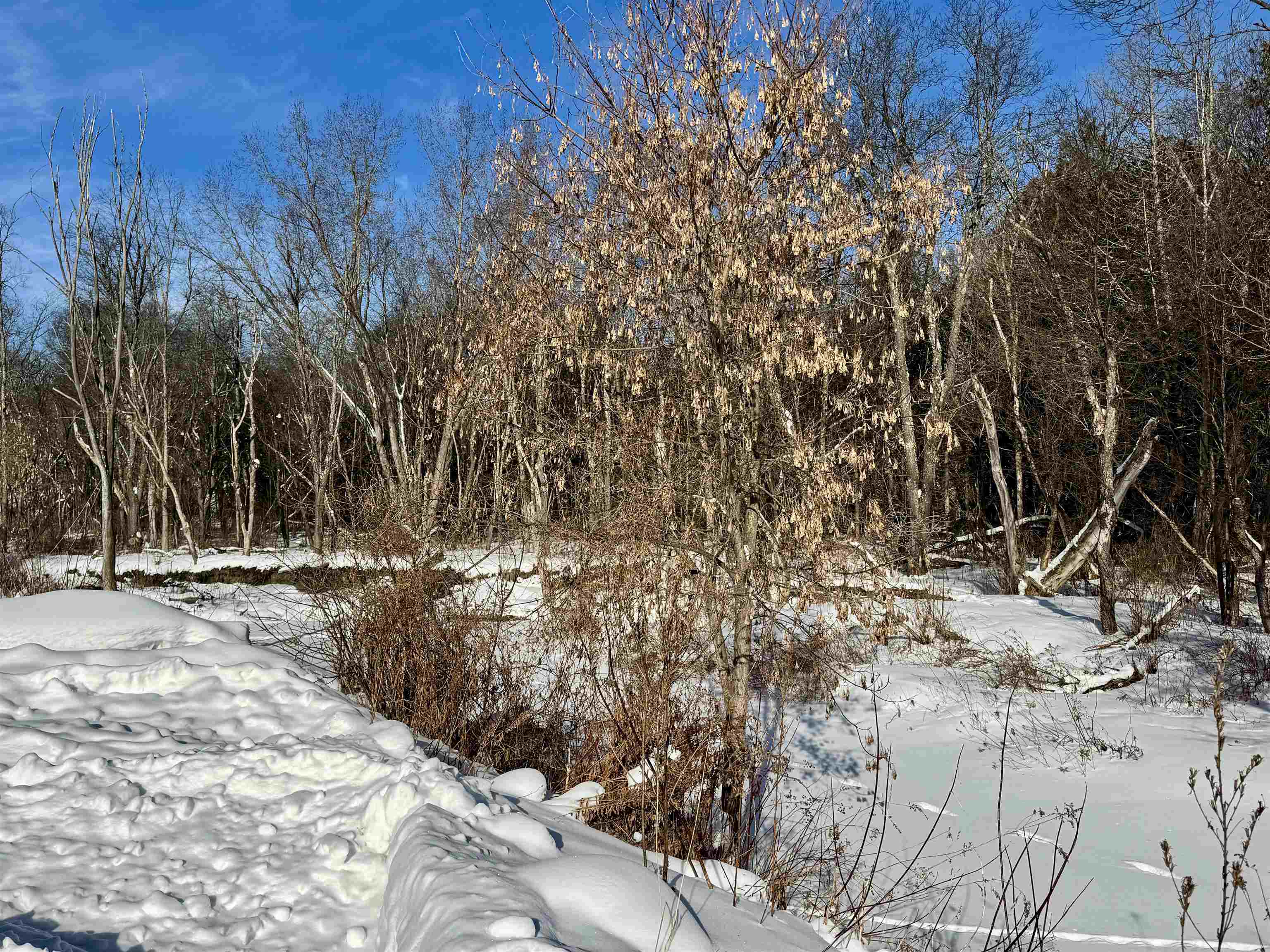 9 Birch Street Colebrook, NH 03576 - Photo 6 of 17