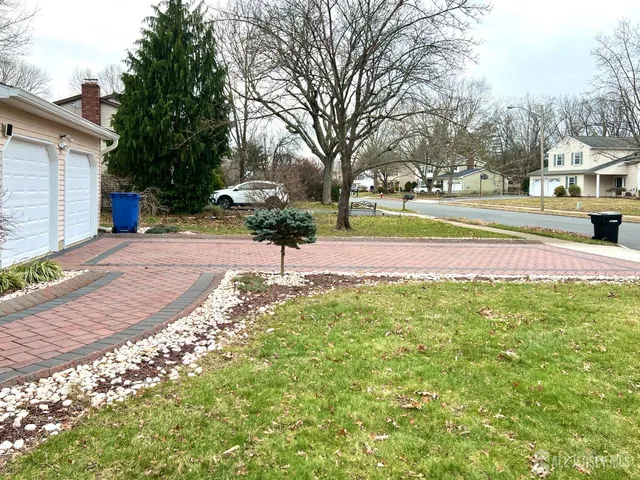 a view of a park that has a tree on the side of it