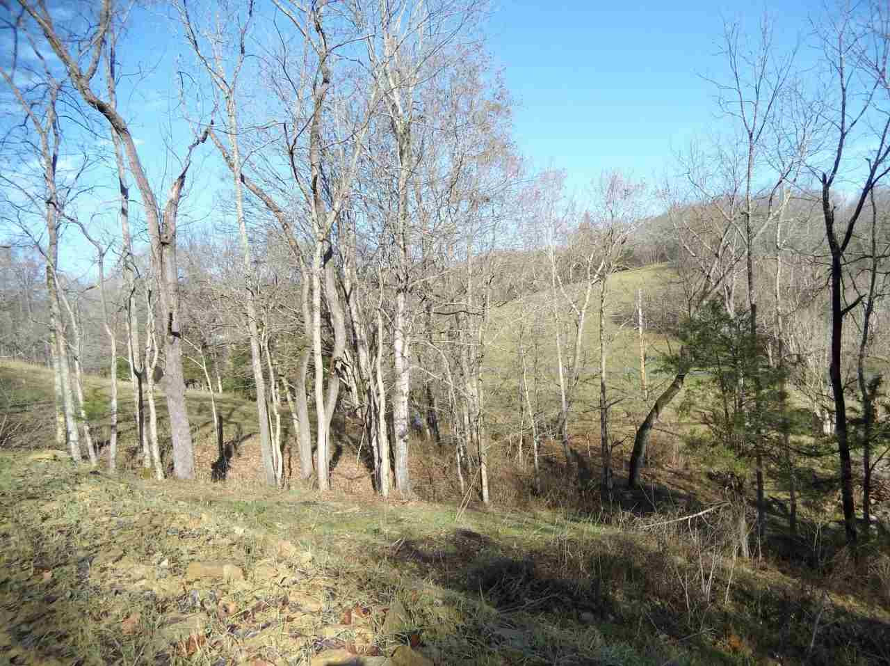 1 Morning Glory Road Cynthiana, KY 41031 - Photo 20 of 25 Gallery Image 20