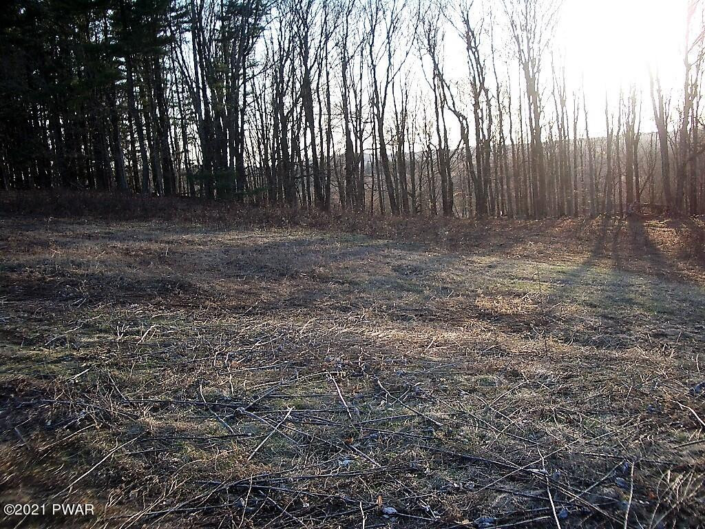 7 Avoy Heights Road Lake Ariel, PA 18436 - Photo 4 of 9