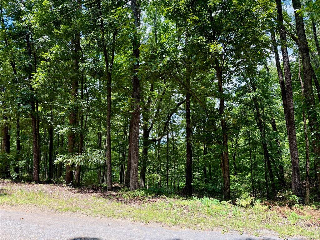 Lot 10 Mayfield Lane Ranger, GA 30734 - Photo 7 of 20 Gallery Image 7