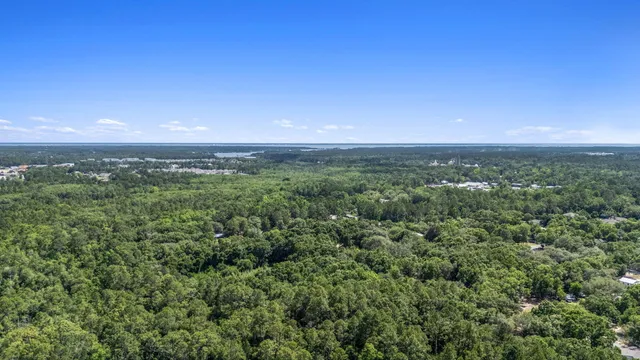 a view of a city with lush green forest