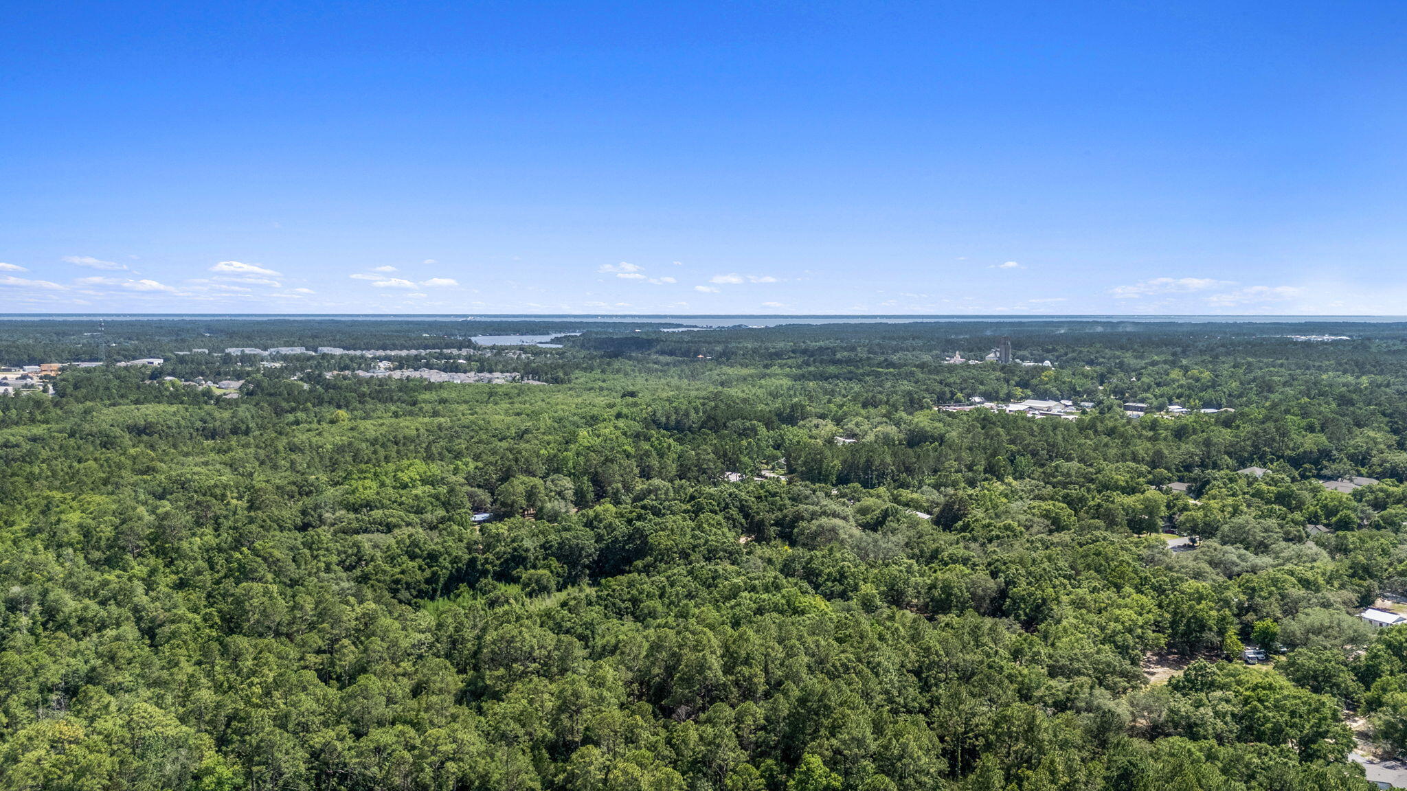 a view of a city with lush green forest
