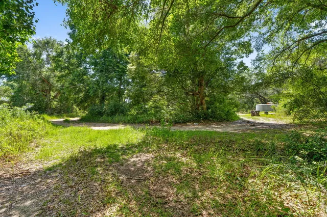 a view of a back yard