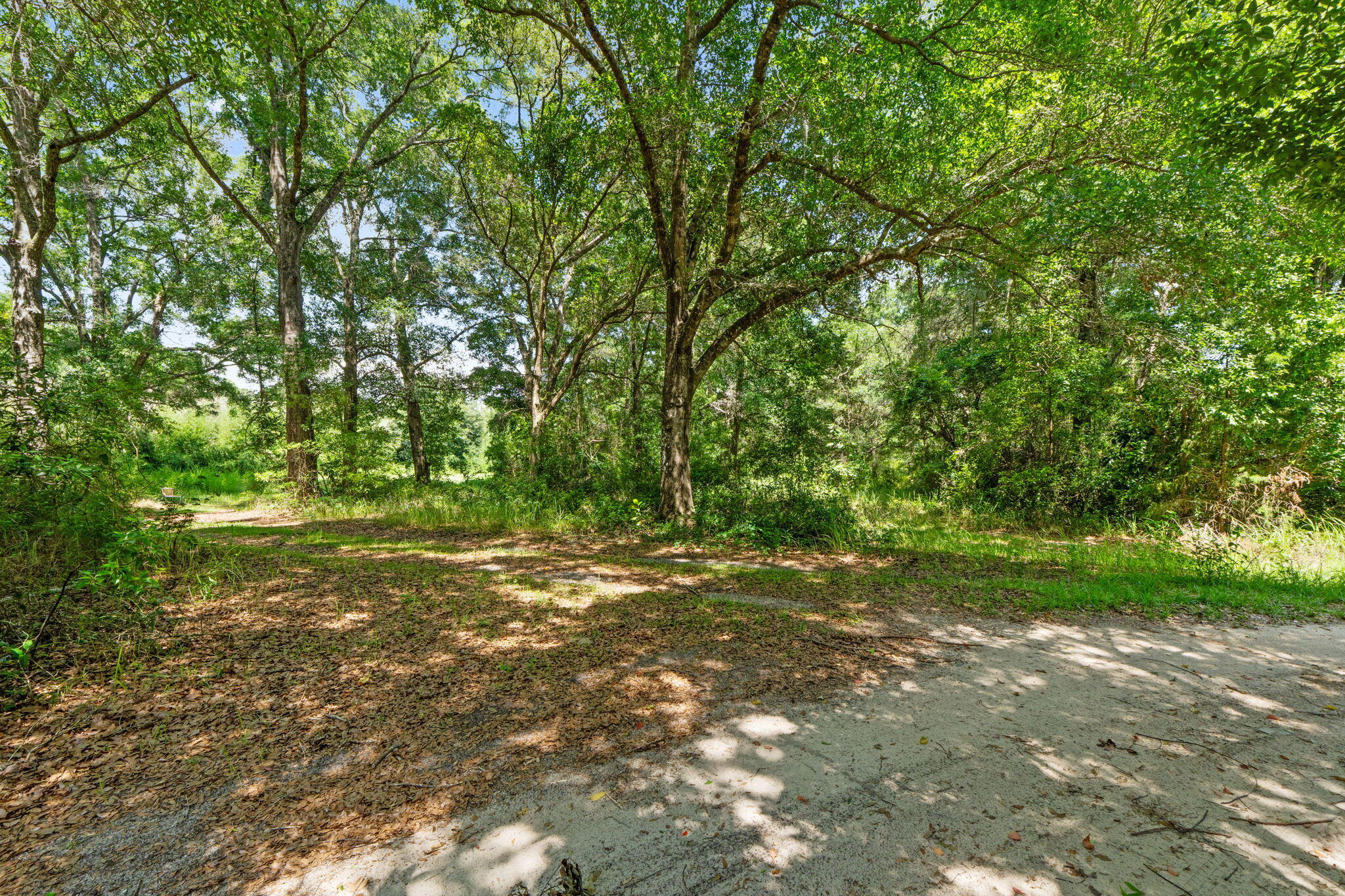 87 Pecan Drive Freeport, FL 32439 - Photo 3 of 9 a view of a yard with a tree
