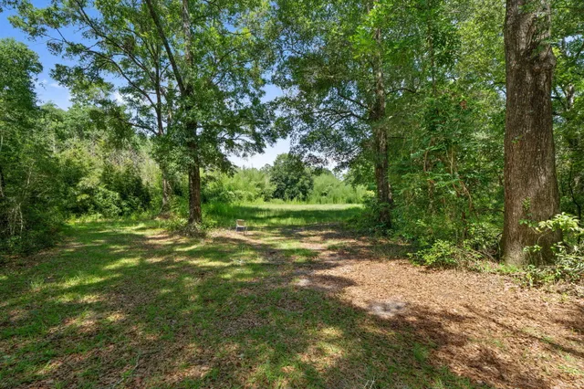 a view of outdoor space with trees all around