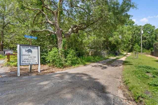 a view of outdoor space with trees all around