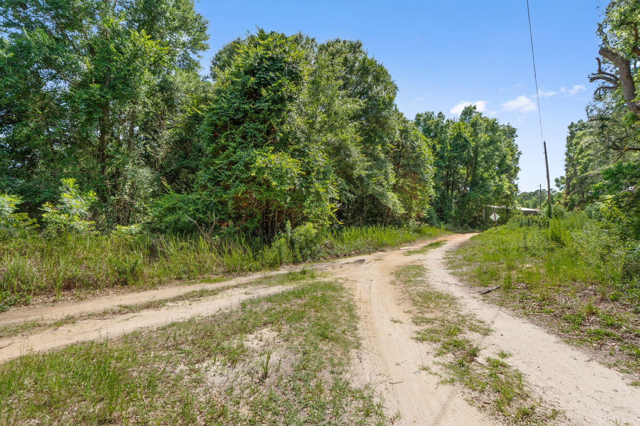 87 Pecan Drive Freeport, FL 32439 - Photo 8 of 9 a view of a yard with plants and large trees