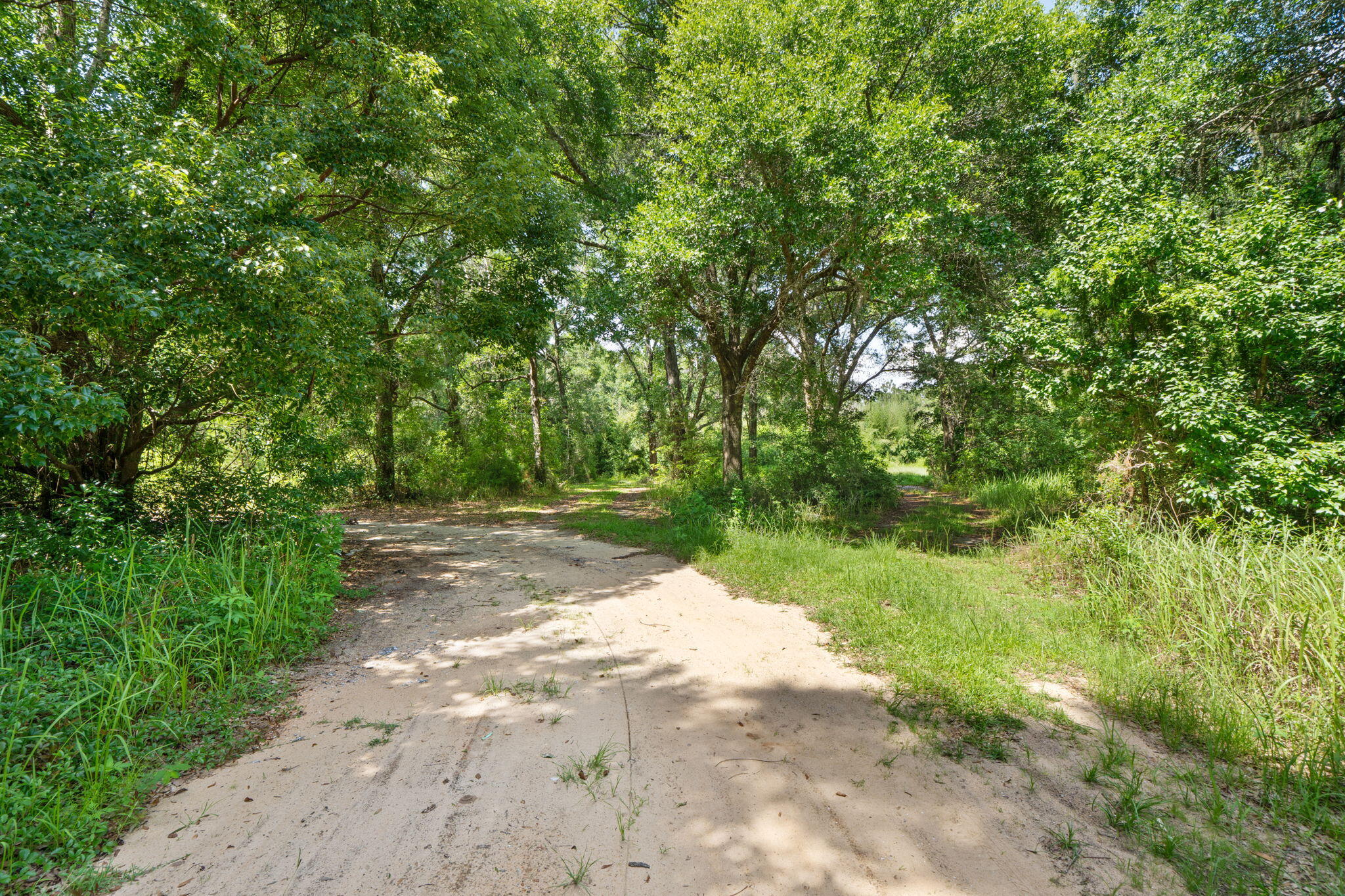 87 Pecan Drive Freeport, FL 32439 - Photo 9 of 9 a view of a yard with plants and trees