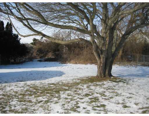 54 Homer Street Newport, RI 02840 - Photo 3 of 3 Yard/Garden.