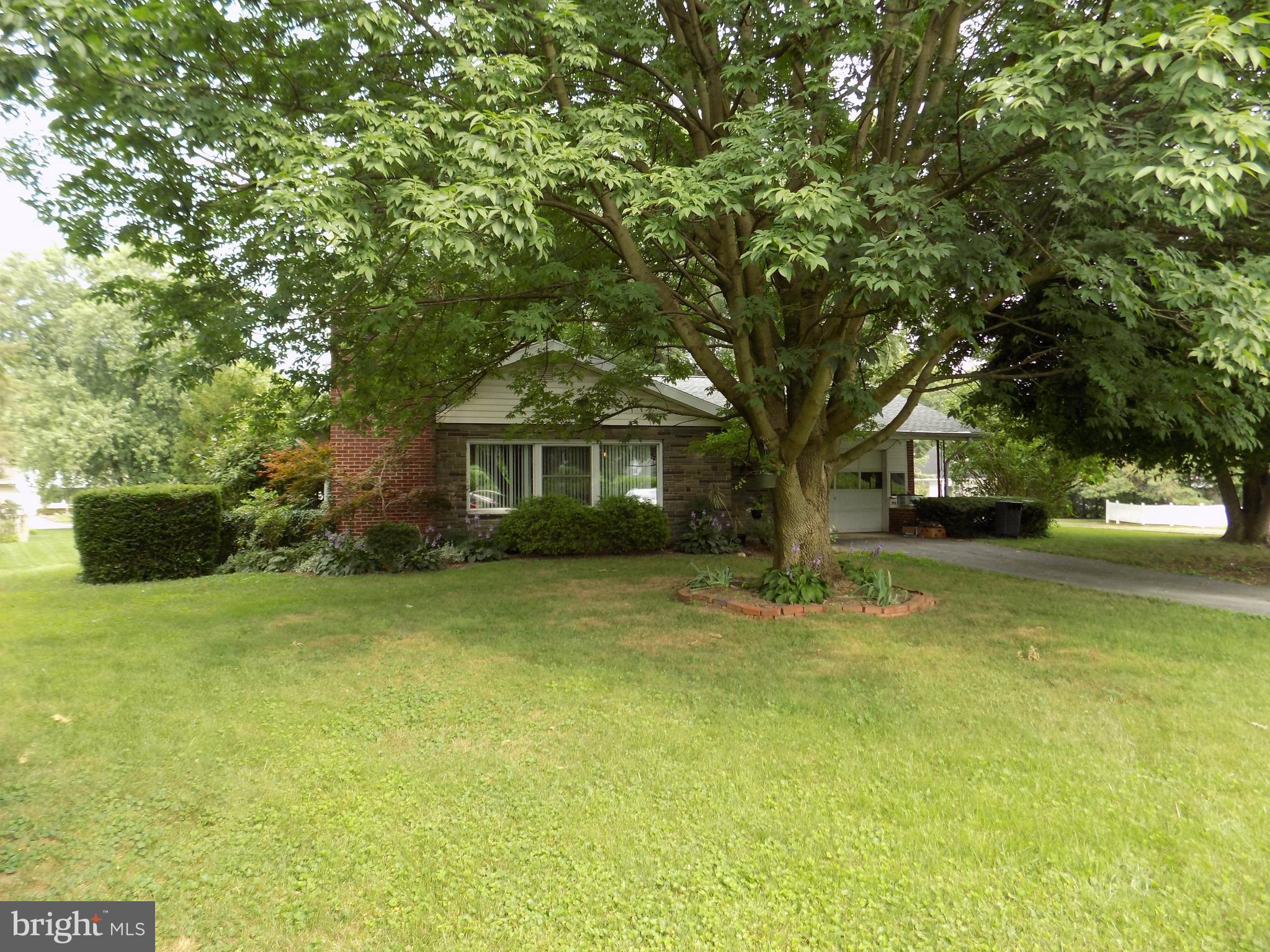 203 North Locust Street Lititz, PA 17543 - Photo 4 of 39 Gallery Image 4